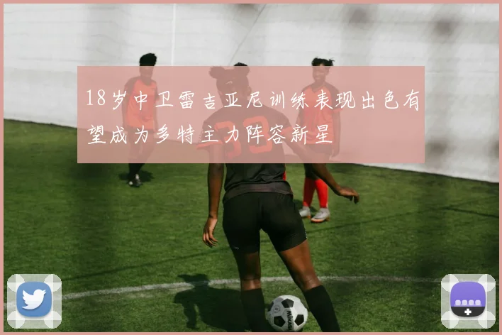 18岁中卫雷吉亚尼训练表现出色有望成为多特主力阵容新星