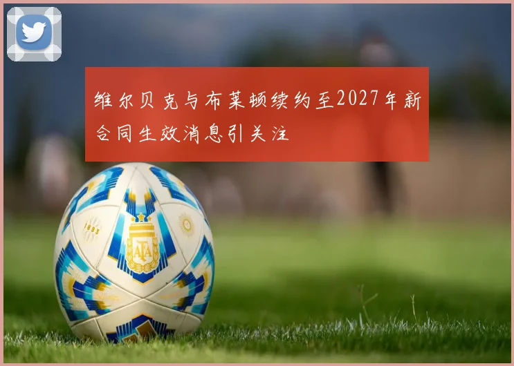 维尔贝克与布莱顿续约至2027年新合同生效消息引关注