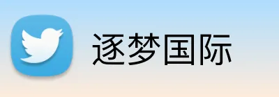逐梦国际 logo